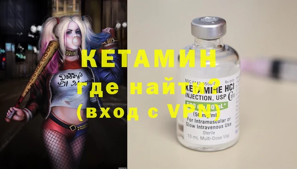 сатива Дмитриев