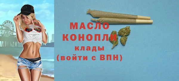 сатива Дмитриев