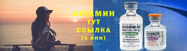 сатива Дмитриев