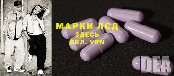 сатива Дмитриев