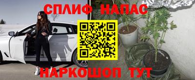 круглые Заводоуковск
