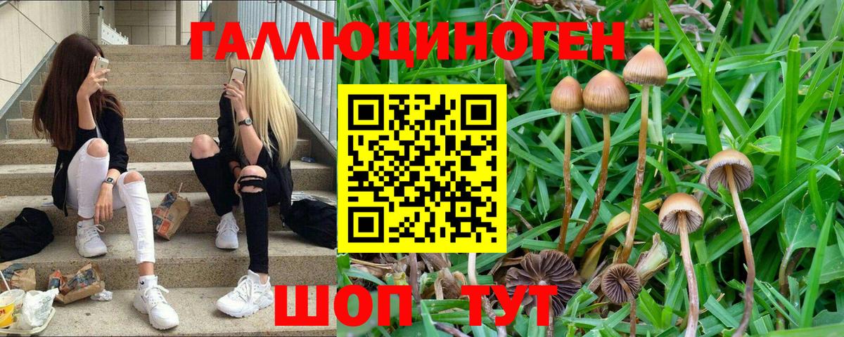 Галлюциногенные грибы ЛСД  Псилоцибиновые грибы прущие грибы  Вход с VPN  Среднеуральск 